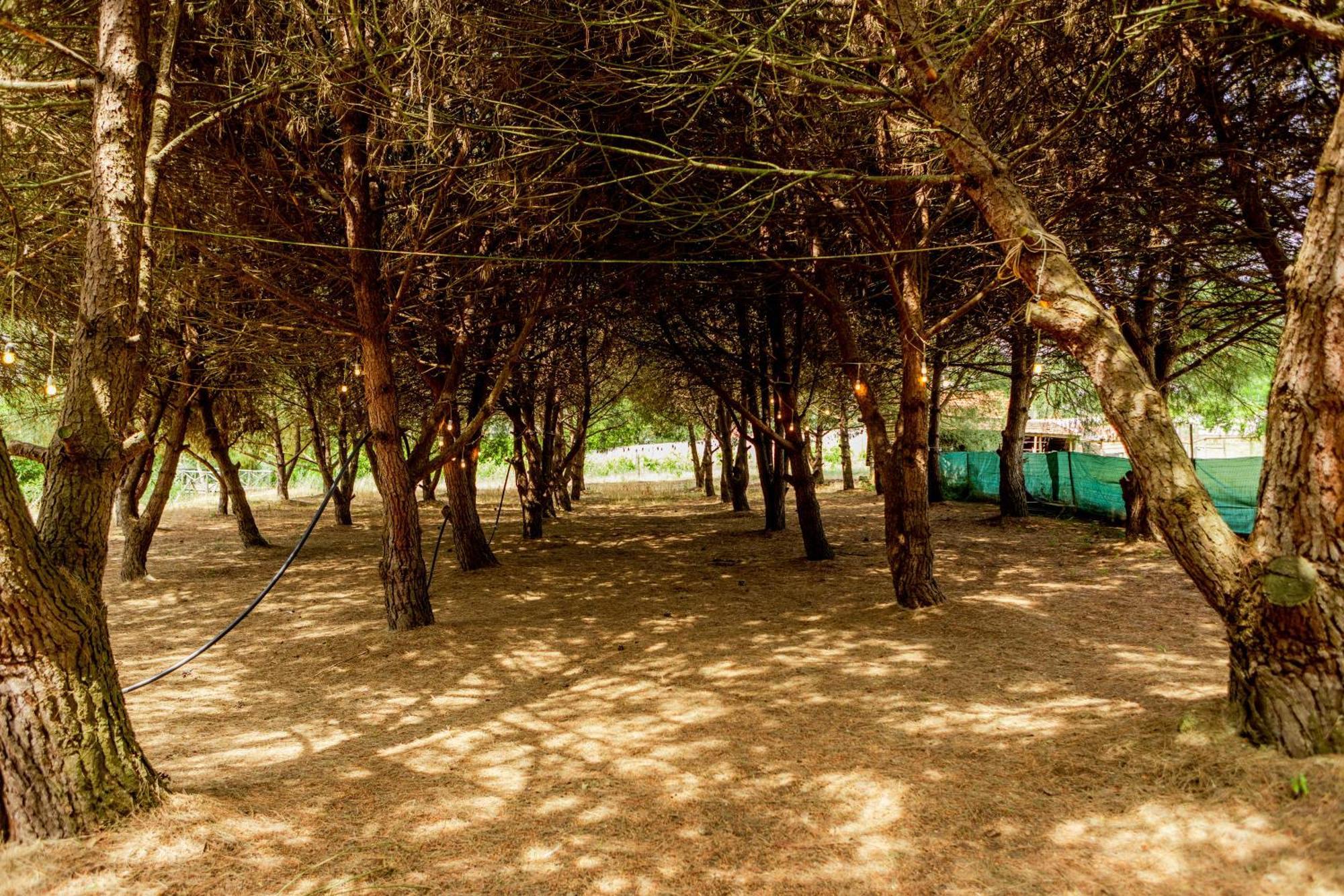 Vila Quinta O Refugio Azambuja Exteriér fotografie