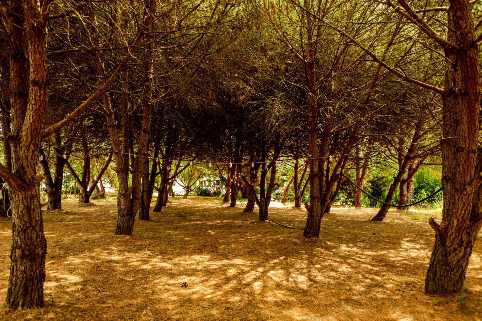Vila Quinta O Refugio Azambuja Exteriér fotografie