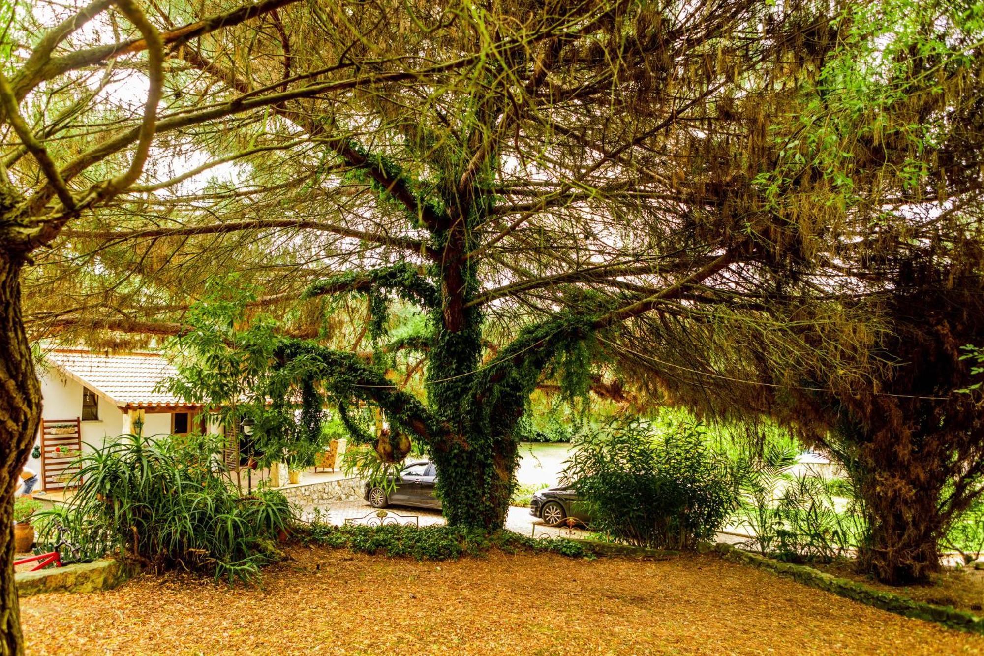 Vila Quinta O Refugio Azambuja Exteriér fotografie